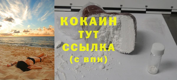 крисы Пересвет