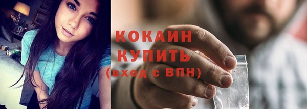 ГАЛЛЮЦИНОГЕННЫЕ ГРИБЫ Пестово