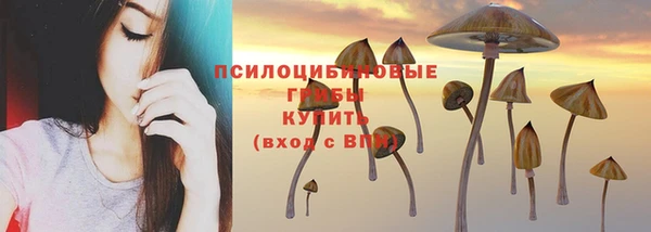 ГАЛЛЮЦИНОГЕННЫЕ ГРИБЫ Пестово