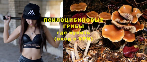 крисы Пересвет