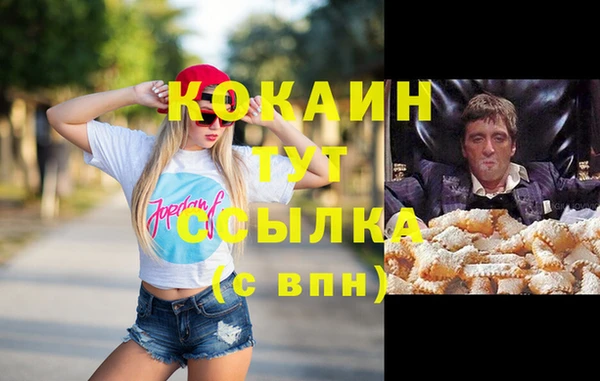 ГАЛЛЮЦИНОГЕННЫЕ ГРИБЫ Пестово