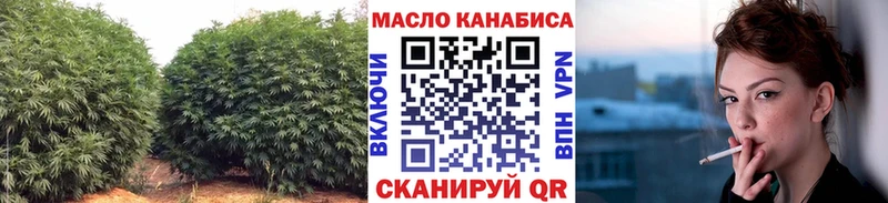 Купить закладки  Заречный  ТГК вейп 